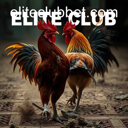 ELITE CLUB